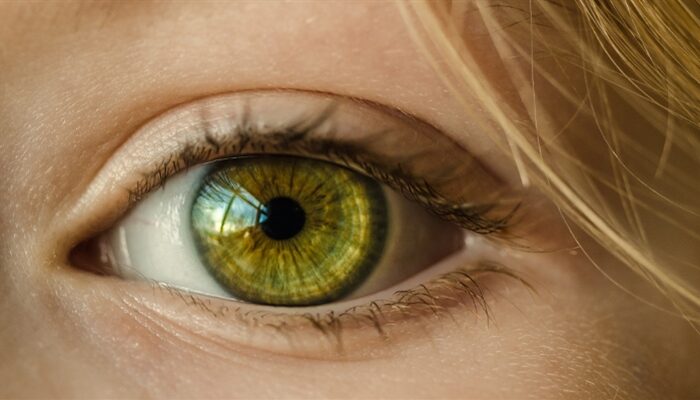 Positionspapier mit Forderungen von brlv, LEV-RS und VBR