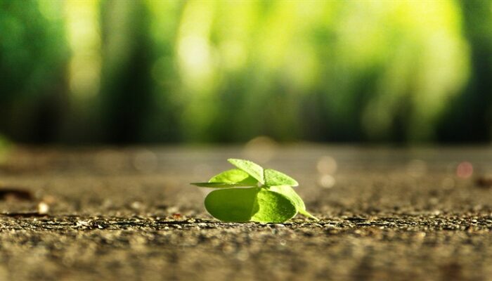 Pläne für Schuljahr 20/21 lassen die Schulfamilie aufatmen