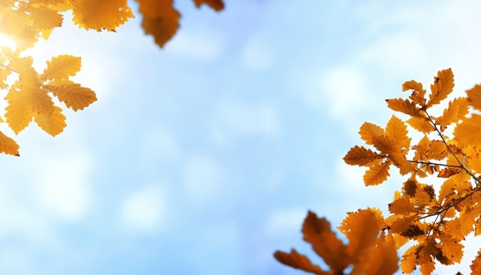 Planungssicherheit für Lehramtsstudierende