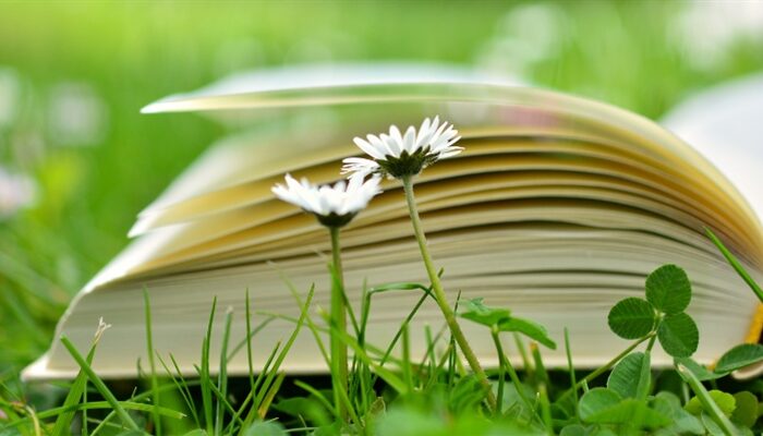 Realschulabschluss als Qualitätssiegel bewährt